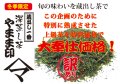 蔵出し一番　深蒸し茶　やまま印　100ｇ10本セット