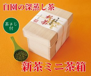 画像1: 新茶　ミニ茶箱100g入り（茶さじ付き）