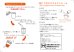 画像5: 【ミニシェイカー付き】焙じつゆひかりパウダー30ｇ (5)